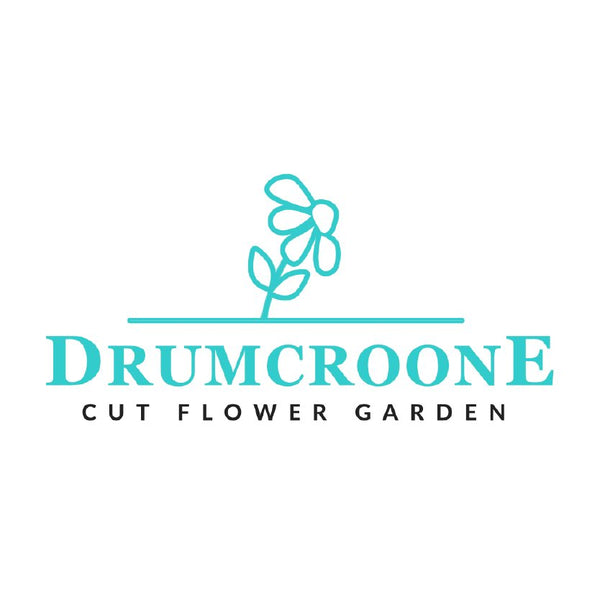 Drumcroone Cut Flower Garden
