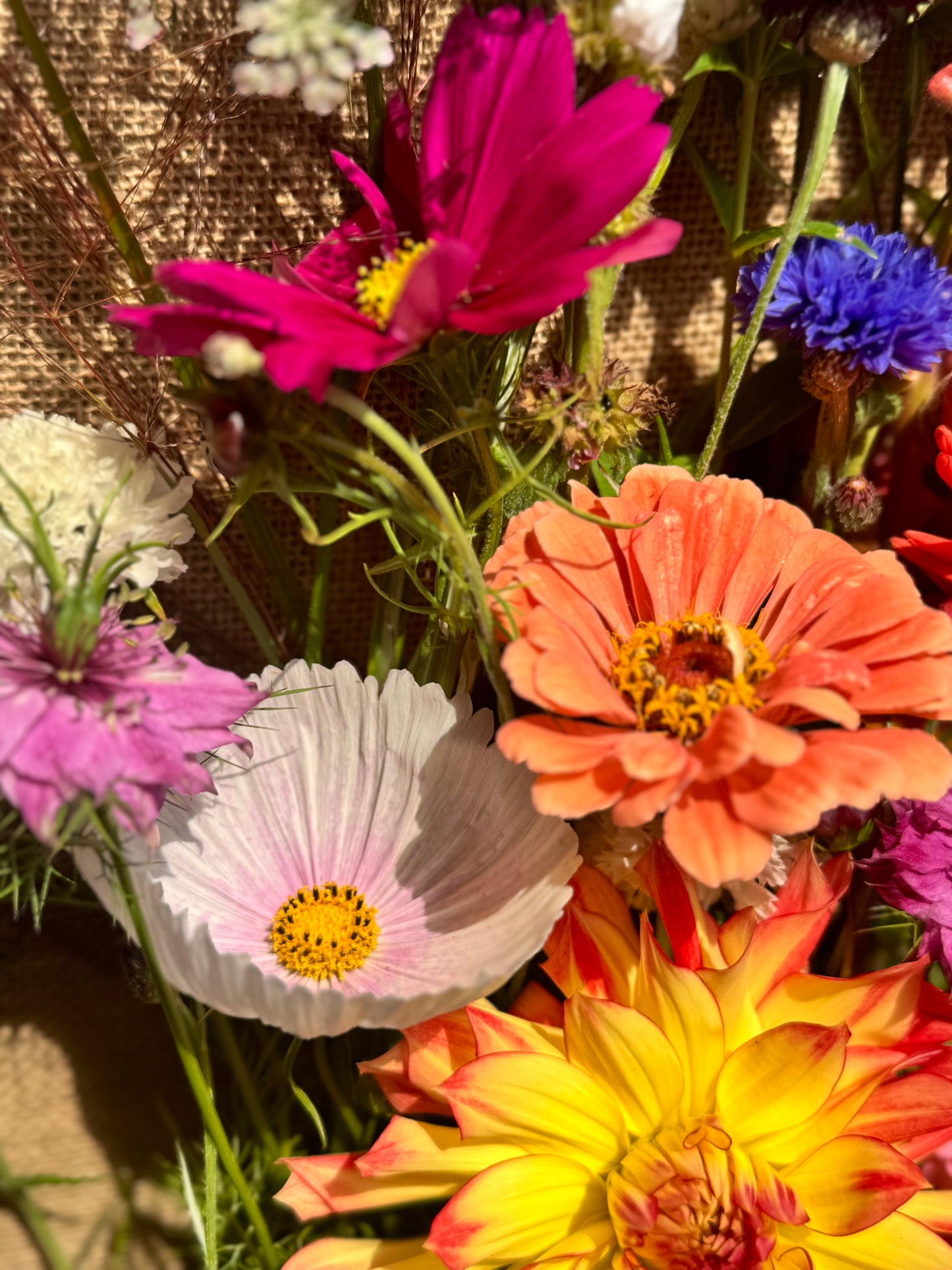 Bucket of Blooms